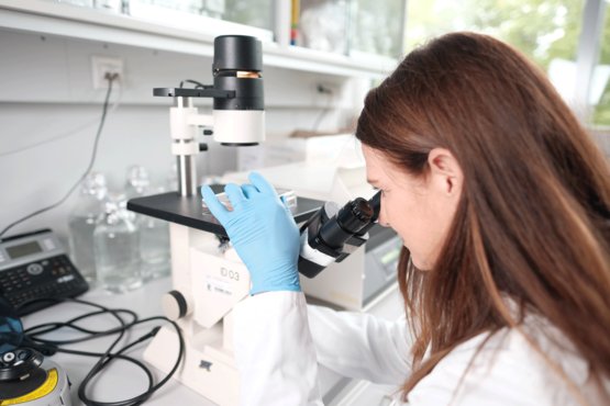 Ihre Karriere am Institut