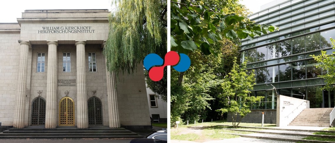 Sie finden uns an zwei Standorten in Bad Nauheim: Im Neubau in der Ludwigstraße 43 und im Altbau in der Parkstraße 1.