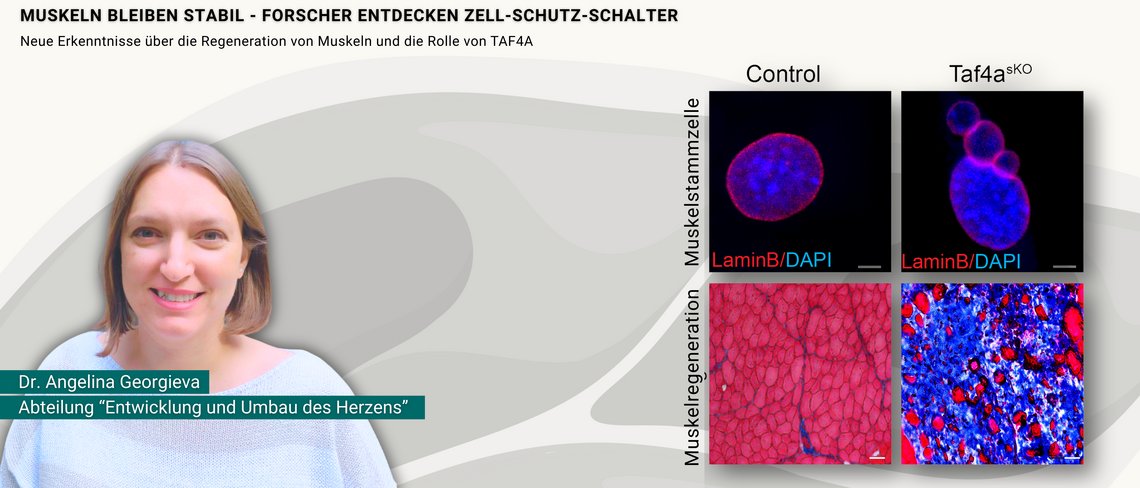 Teaser zur Pressemitteilung