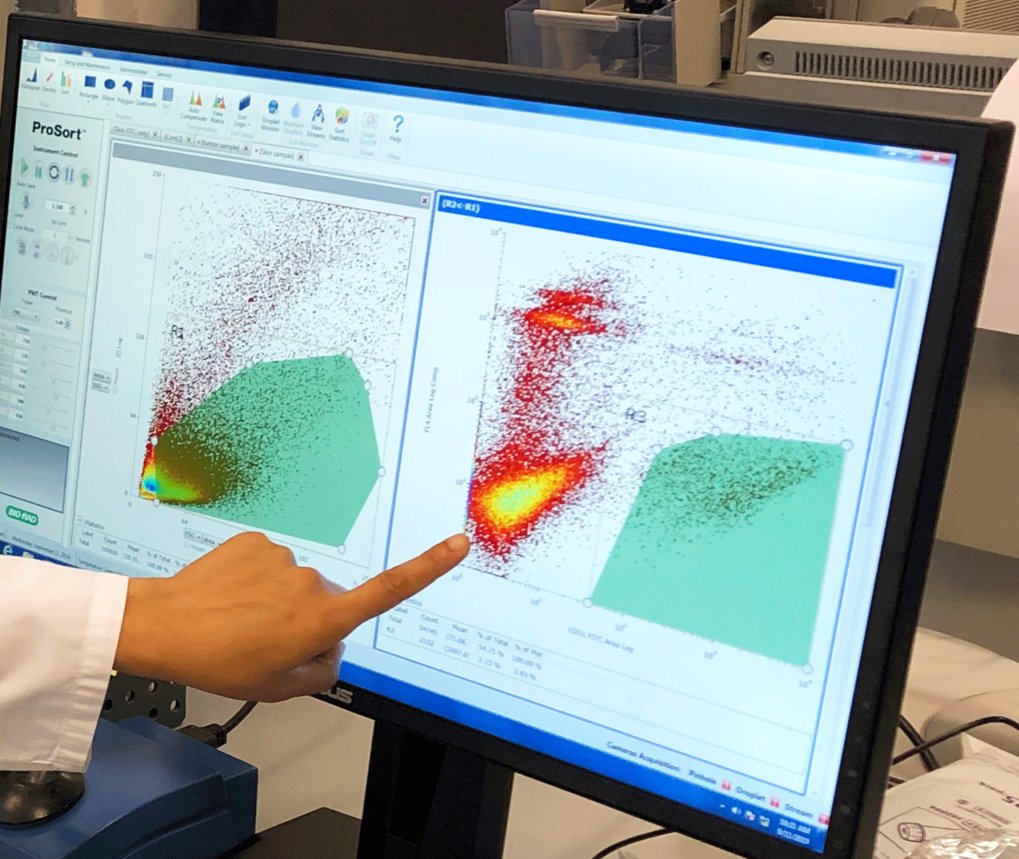 Flow Cytometry and Cell Sorting Facility