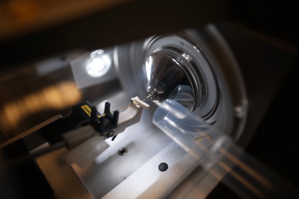 Biomolekulare Massen-spektrometrie