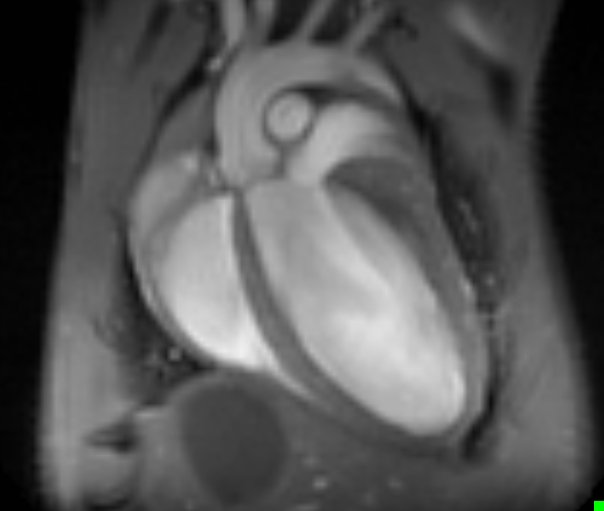 Kleintier-bildgebung