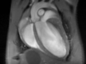 Small Animal Imaging