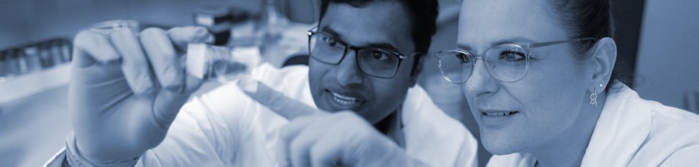 Work and Research Groups Work and Research Groups