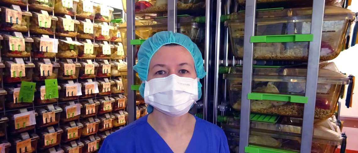 Nouha, Veterinarian