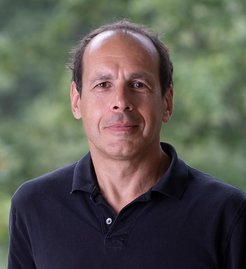 Prof. Dr. Didier Stainier