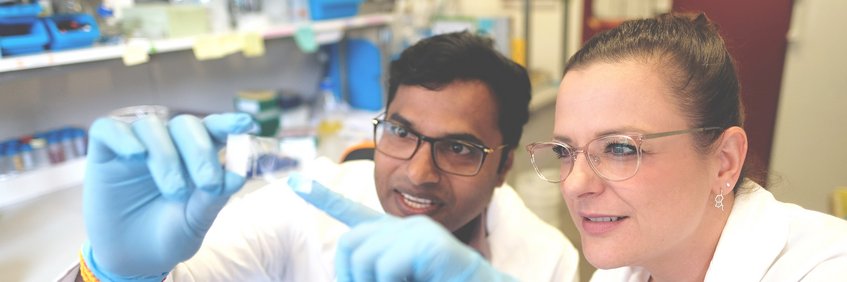 Publications Publications