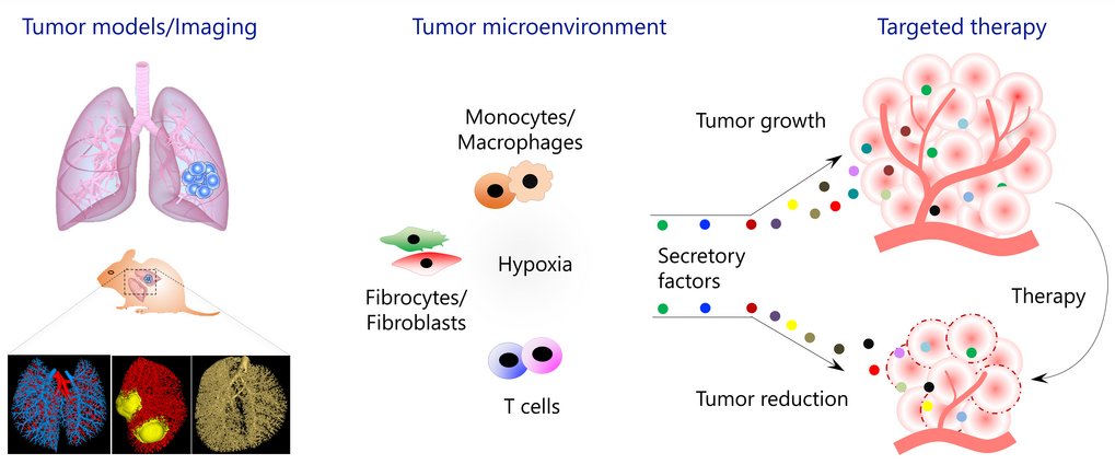 Figure 1: Overview of research topics addressed in Savai group Figure 1: Overview of research topics addressed in Savai group