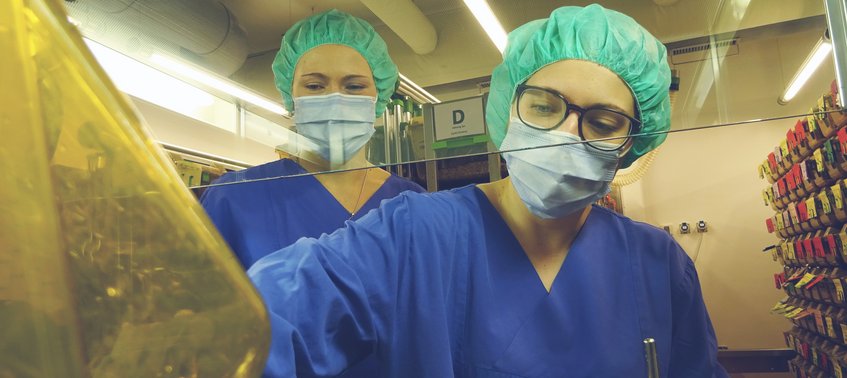 Berufsbild Tierpfleger/in mit Fachrichtung Forschung und Klinik Berufsbild Tierpfleger/in mit Fachrichtung Forschung und Klinik