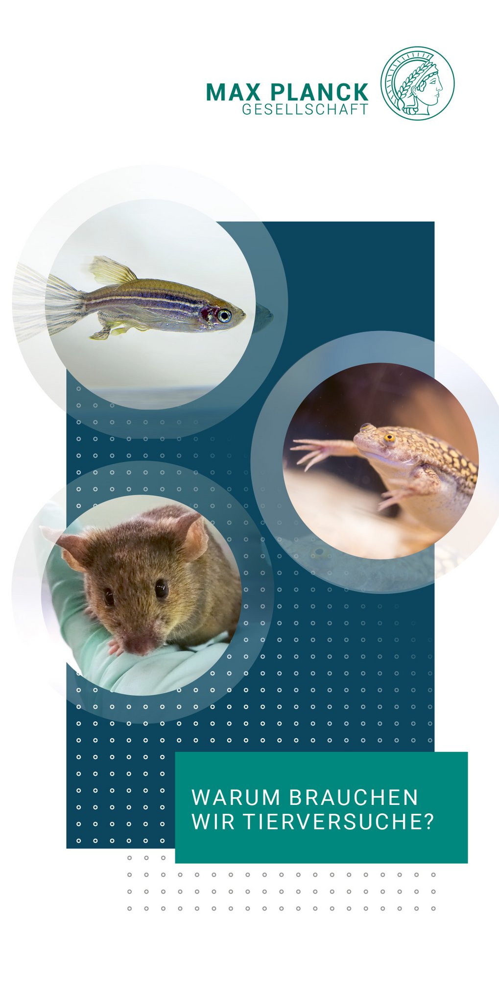 WARUM BRAUCHENWIR TIERVERSUCHE?