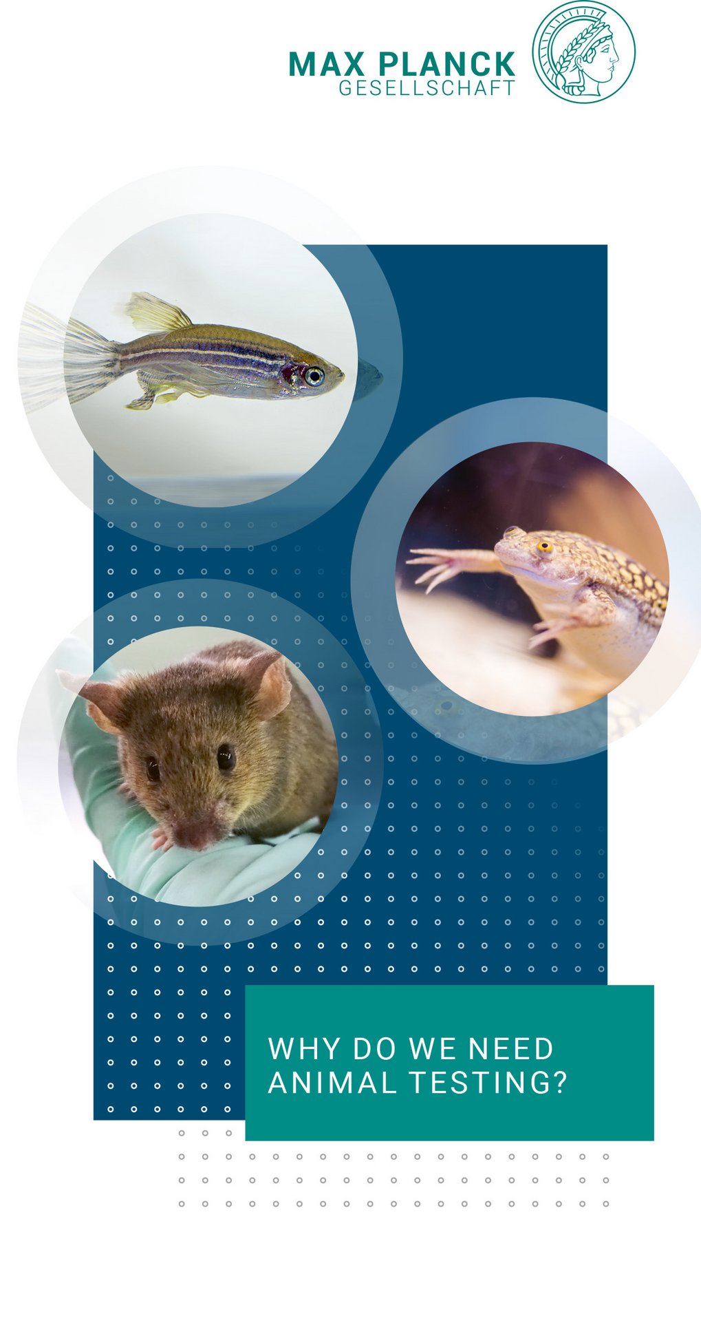 WHY DO WE NEEDANIMAL TESTING?