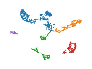 Epicardium