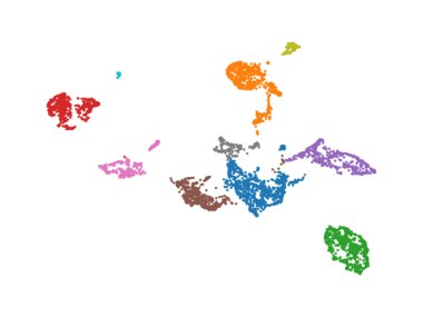Other cell types