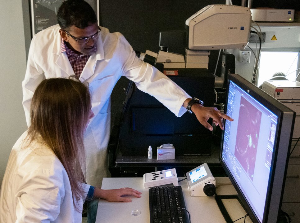A female scientist is sitting in front of a screen, which shows a research result. A male scientist stands next to it and points at the screens.