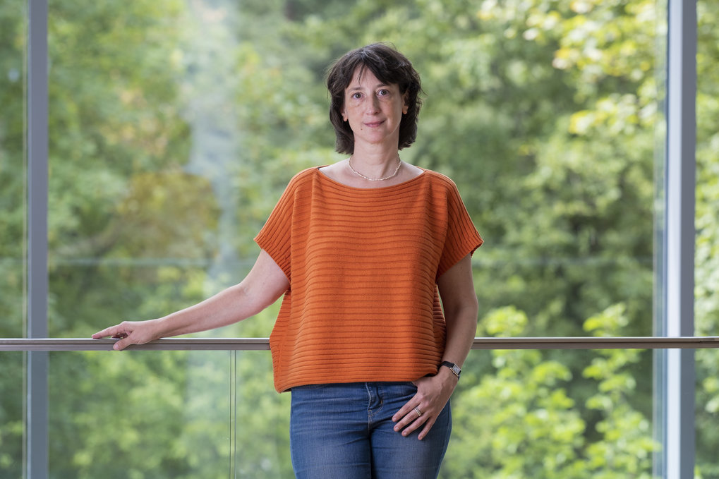Bild von Dr. Nina Wettschureck