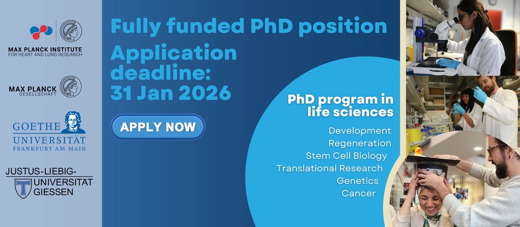 Application for PhD Position