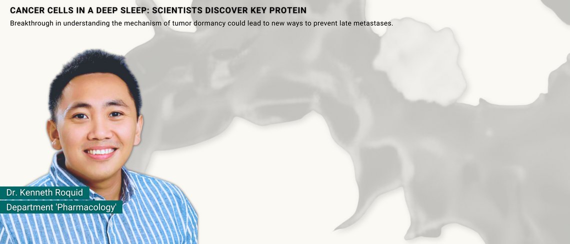 Protein in blood vessels puts tumour cells into deep sleep