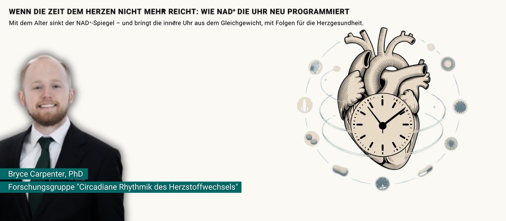 Teaser für Pressemitteilung