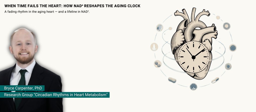 Teaser for Press Release