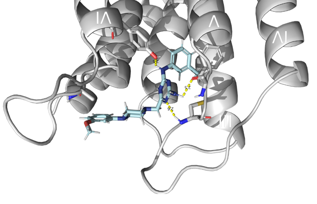 Das kleine Molekül MP20 hemmt die Dimerisierung eines Orphan-GPCR