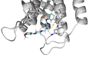 Das kleine Molekül K303MP20 hemmt die Dimerisierung eines Orphan-GPCR Das kleine Molekül MP20 hemmt die Dimerisierung eines Orphan-GPCR