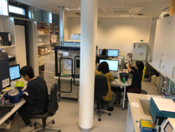 The Flow Cytometry Facility