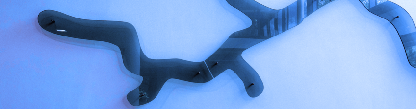 Lung Development and Remodelling (Emeritus Group) Lung Development and Remodelling (Emeritus Group)