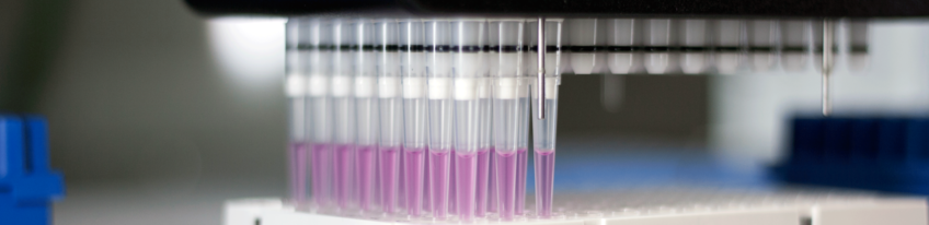 MAX PLANCK FELLOW MAX PLANCK FELLOW