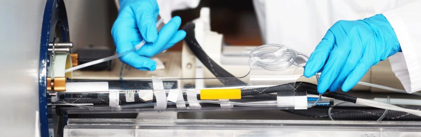 Kleintierbildgebung/Small Animal Imaging Kleintierbildgebung/Small Animal Imaging