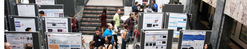 Veranstaltungen Veranstaltungen