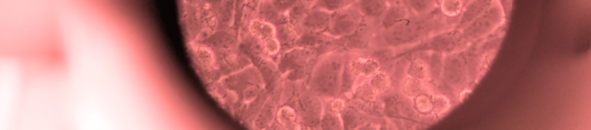 Workgroup Pöling Workgroup Pöling