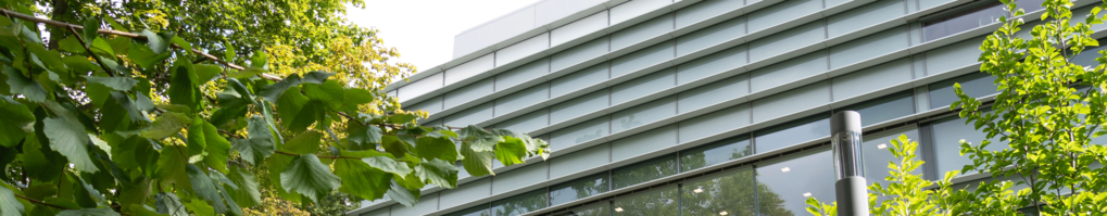 Konfliktberatung am Institut Konfliktberatung am Institut