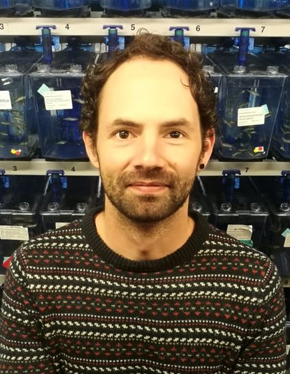 Image of Dr. João Cardeira da Silva